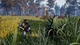 Игра Open Country для ПК (Ключ активации Steam) - изображение 2