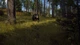Игра Way of the Hunter Elite Edition для ПК (Ключ активации Steam) - изображение 5