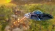 Игра Destroy All Humans! для ПК (Ключ активации Steam) - изображение 2