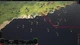 Дополнение Panzer Corps 2: Axis Operations - 1940 для ПК (Ключ активации Steam) - изображение 5