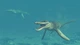 Дополнение Jurassic World Evolution 2: Early Cretaceous Pack для ПК (Ключ активации Steam) - изображение 3