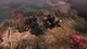 Дополнение Warhammer 40,000: Gladius - Lord of Skulls для ПК (Ключ активации Steam) - изображение 2