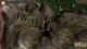 Дополнение Europa Universalis IV: El Dorado Content Pack для ПК (Ключ активации Steam) - изображение 2