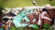 Игра One Piece Pirate Warriors 4 Deluxe Edition для ПК (Ключ активации Steam) - изображение 4