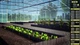 Игра Agricultural Simulator 2013 для ПК (Ключ активации Steam) - изображение 6