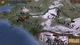 Дополнение Europa Universalis IV: The Cossacs Content Pack для ПК (Ключ активации Steam) - изображение 4