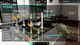 Игра Aquarium Designer для ПК (Ключ активации Steam) - изображение 4
