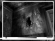 Игра The Last Crown: Midnight Horror для ПК (Ключ активации Steam) - изображение 2