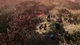 Игра Warhammer 40,000: Gladius - Relics of War для ПК (Ключ активации Steam) - изображение 3