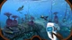 Игра Subnautica Deep Ocean Bundle для ПК (Ключ активации Steam) - изображение 3