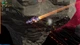 Игра Nebulous: Fleet Command для ПК (Ключ активации Steam) - изображение 4
