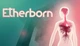 Игра Etherborn для ПК (Ключ активации Steam) - изображение 1