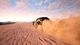 Гра Dakar 18 для ПК (Ключ активації Steam) - зображення 5