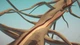 Игра Etherborn для ПК (Ключ активации Steam) - изображение 5