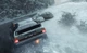 Игра DiRT Rally для ПК (Ключ активации Steam) - изображение 5