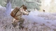 Игра Hunting Simulator для ПК (Ключ активации Steam) - изображение 6