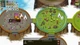 Дополнение Circle Empires Rivals: Forces of Nature для ПК (Ключ активации Steam) - изображение 2