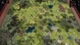 Гра Total Tank Generals для ПК (Ключ активації Steam) - зображення 2