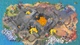 Игра Train Valley 2 для ПК (Ключ активации Steam) - изображение 4