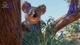 Дополнение Planet Zoo: набором «Австралия» для ПК (Ключ активации Steam) - изображение 4