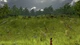 Игра Defend The Highlands для ПК (Ключ активации Steam) - изображение 6