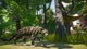 Доповнення Planet Zoo: набор животных Юго-Восточной Азии для ПК (Ключ активації Steam) - зображення 2