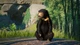 Доповнення Planet Zoo: набор животных Юго-Восточной Азии для ПК (Ключ активації Steam) - зображення 4