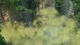 Гра SpellForce 3: Fallen God для ПК (Ключ активації Steam) - зображення 3