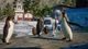 Дополнение Planet Zoo: набором «Водный мир» для ПК (Ключ активации Steam) - изображение 3