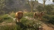 Дополнение TheHunter: Call of the Wild - Vurhonga Savanna - Europe для ПК (Ключ активации Steam) - изображение 2