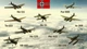 Дополнение Hearts of Iron IV: Eastern Front Planes Pack - Europe для ПК (Ключ активации Steam) - изображение 4
