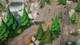 Игра Lonely Mountains: Downhill для ПК (Ключ активации Steam) - изображение 6