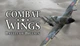 Гра Combat Wings: Batlle of Britain для ПК (Ключ активації Steam) - зображення 1