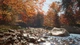 Дополнение theHunter: Call of the Wild - New England Mountains для ПК (Ключ активации Steam) - изображение 6