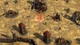 Игра SpellForce Complete для ПК (Ключ активации Steam) - изображение 5