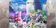 Игра Vanguard Princess для ПК (Ключ активации Steam) - изображение 2