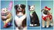 Дополнение The Sims 4 - Cats & Dogs (Кошки и собаки) для Xbox One/Series (Ключ активации ) - изображение 6