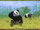 Игра Zoo Empire для ПК (Ключ активации Steam) - изображение 4