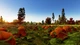 Игра Farm Manager 2018 для ПК (Ключ активации Steam) - изображение 3