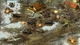 Игра Blitzkrieg Anthology для ПК (Ключ активации Steam) - изображение 2