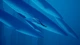 Гра Abzu для ПК (Ключ активації Steam) - зображення 6