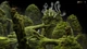 Игра Samorost 3 для ПК (Ключ активации Steam) - изображение 6