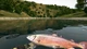 Гра Ultimate Fishing Simulator для ПК (Ключ активації Steam) - зображення 2