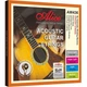 Струны для акустической гитары Alice AW436P-L Phosphor Bronze 12-53 - изображение 1