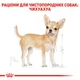 Корм для дорослих собак породи Чихуахуа ROYAL CANIN CHIHUAHUA ADULT 500 г (2210005) - изображение 3