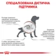 Корм для дорослих собак ROYAL CANIN GASTRO INTESTINAL LOW FAT DOG 1,5 кг (39320151) - изображение 3