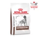 Сухий корм для собак Royal Canin GastroIntestinal при порушенні травлення 2 кг - изображение 1