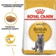 Сухой корм Royal Canin British Shorthair Adult для взрослых котов породы Британская короткошерстная 10 кг (арт 2557100) - изображение 5