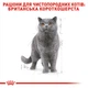 Вологий корм для дорослих котів породи британська короткошерста ROYAL CANIN BRITISH SHORTHAIR ADULT, 85 г - изображение 3