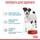 Вологий корм для новонароджених цуценят та собак у період лактації ROYAL CANIN STARTER MOUSE 195 г (4077002) - изображение 4